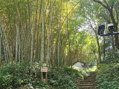 -龙井壹号·茶缘山景宴(龙井村店)