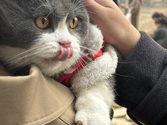 -白鹭湾湿地公园