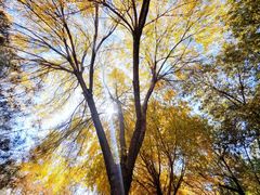 -北京国家会计学院