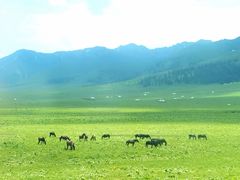 -新疆那拉提国家旅游度假区