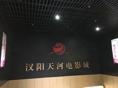 -汉阳天河电影城(王家湾店)