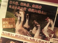-粤凤佬