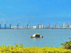 -野狸岛