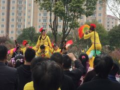 -南汇桃花村