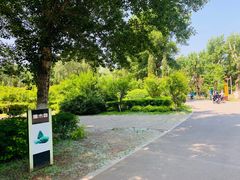 -长白岛森林公园