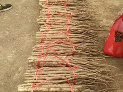 -解家河南菜(商鼎路店)