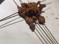 -小杨烤肉(朱雀店)