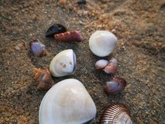 -浪琴湾度假村