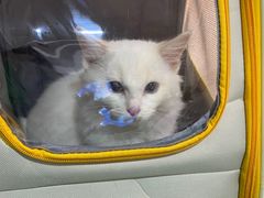 -爱诺动物医院(崂山店)