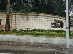 -棕榈MALL
