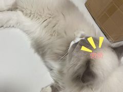 -一间摄影工作室(天安云谷店)