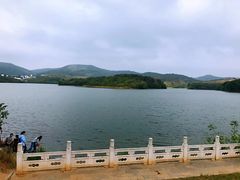 -佛手湖郊野公园