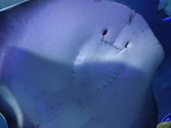 -沈阳海洋探索中心