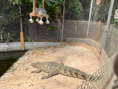 -呀路古热带植物园