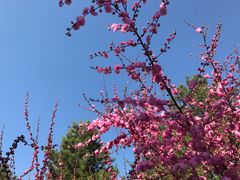 -帽儿山国家森林公园