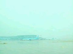 -乐天免税店(仁川国际机场店)