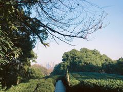 -西湖风景区十里琅珰-五云山