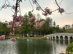 -四海公园(南山区)