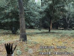 -东园小馆·早茶·淮扬小炒(宋夹城店)