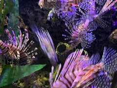 -太平洋海底世界