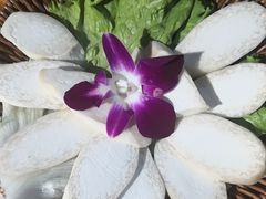 -塔兰齐新疆孜然火锅(鲤鱼山路店)