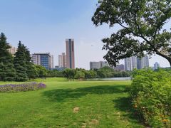 -黄兴公园