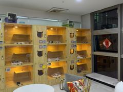 -小猫来了猫舍(福田店)