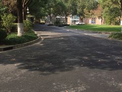 -上海市实验学校