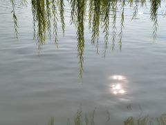 -詹记宫廷桃酥王(芜湖万达店)