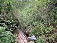 -驼梁风景区
