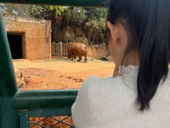 -南昌动物园