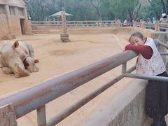 -昆明动物园