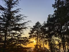 -铁山坪森林公园