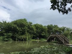 -西溪国家湿地公园