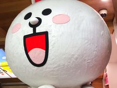 -line friends(明洞旗舰店)