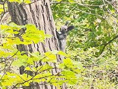 -西尖山公园