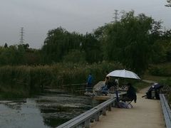 -永定河休闲森林公园