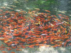 -水磨沟公园