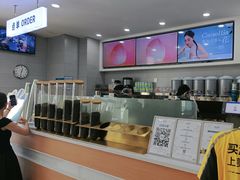 -雾与山茶(大禹城店)