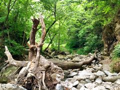 -秦岭风景区