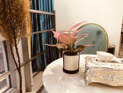 -痘院长·祛痘·皮肤管理