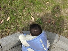 -滆湖低碳生态公园
