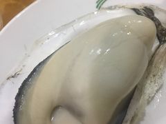 -蚝专家(北滘店)