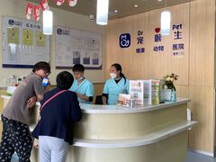 -宠颐生维康宠物医院(金丰店)