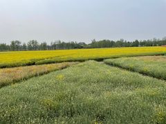 -中国天府农业博览园