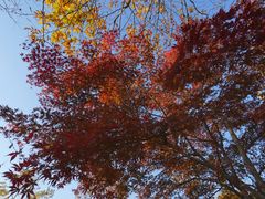 -塔川景区