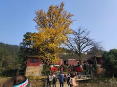 -佛荫寺