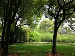 景点-宋庆龄陵园