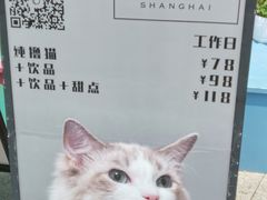 -飞行喵MR PILOT|猫舍·猫咖(静安大融城店)