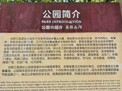 -合肥三国新城遗址公园